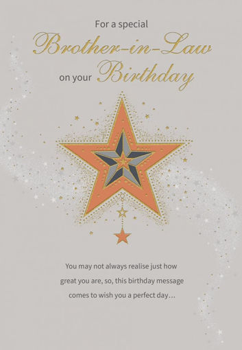 Picture of SPECIAL BROTHER IN LAW BIRTHDAY CARD